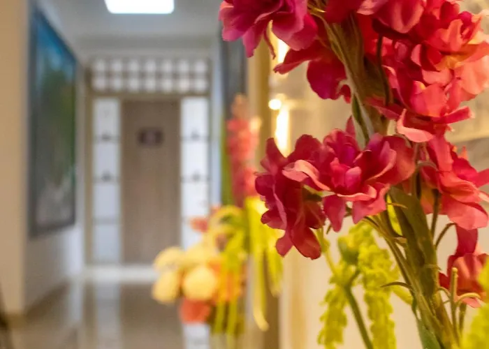 Hotel Plaza Real Boutique
